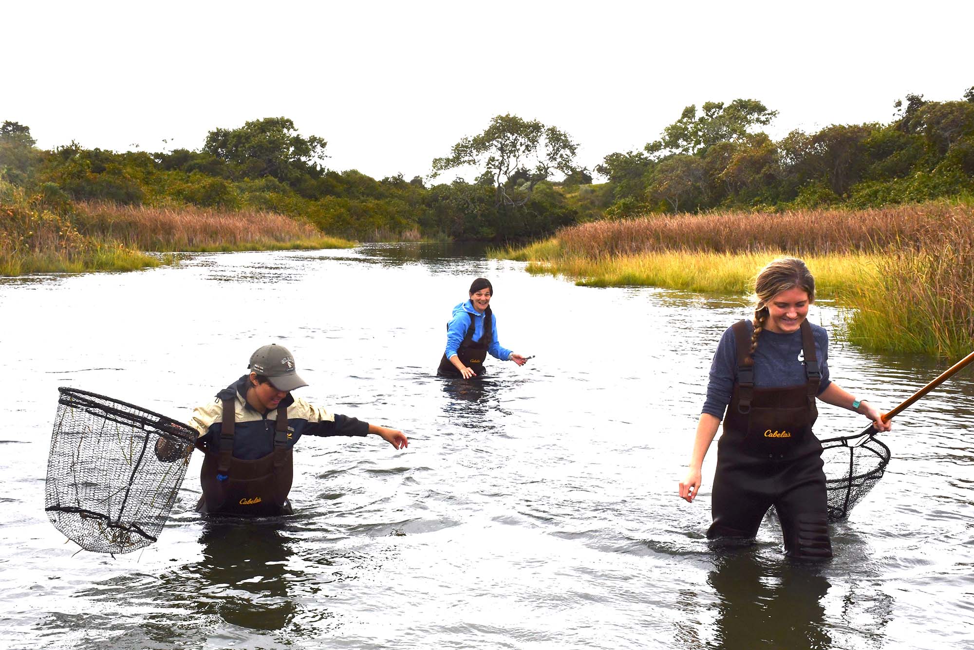 Maria Abate, Chelseigh Bond and Abigail Skena tracking herring in Squibnocket Herring Run