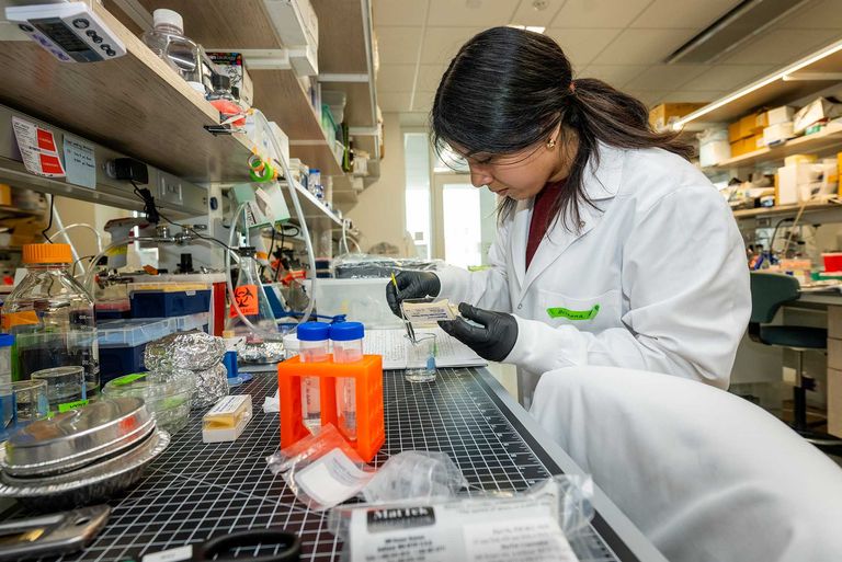 REM-INCLUDES participant Brianna Perales working in the Christopher S Chen lab