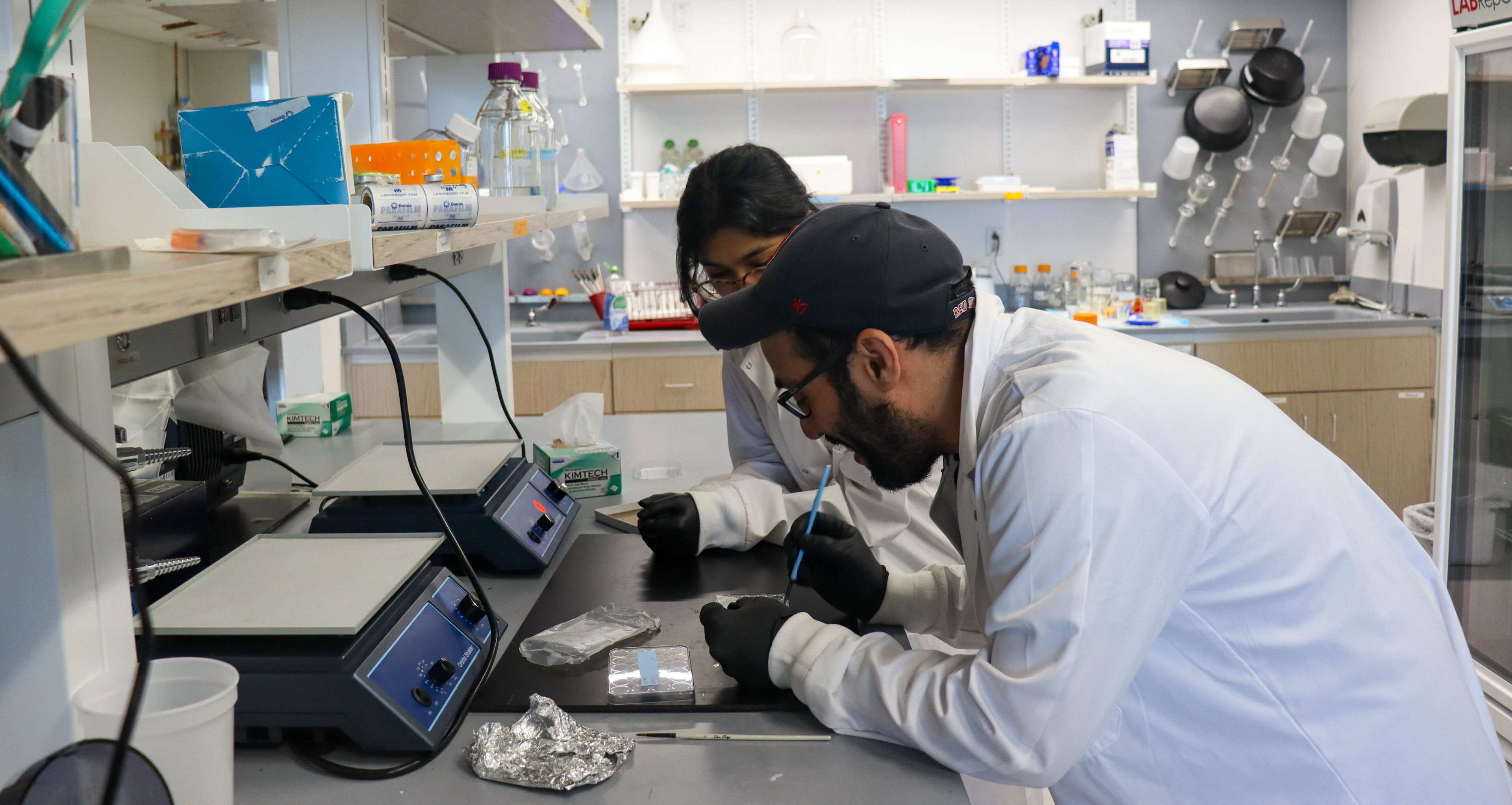 Student researchers working in a lab