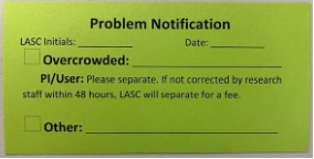 Example of green Problem Notification card