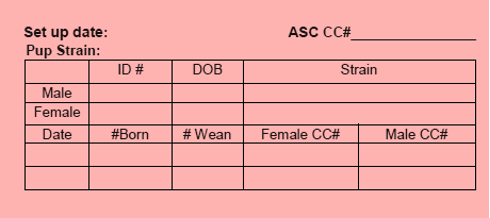 Example of pink breeder card