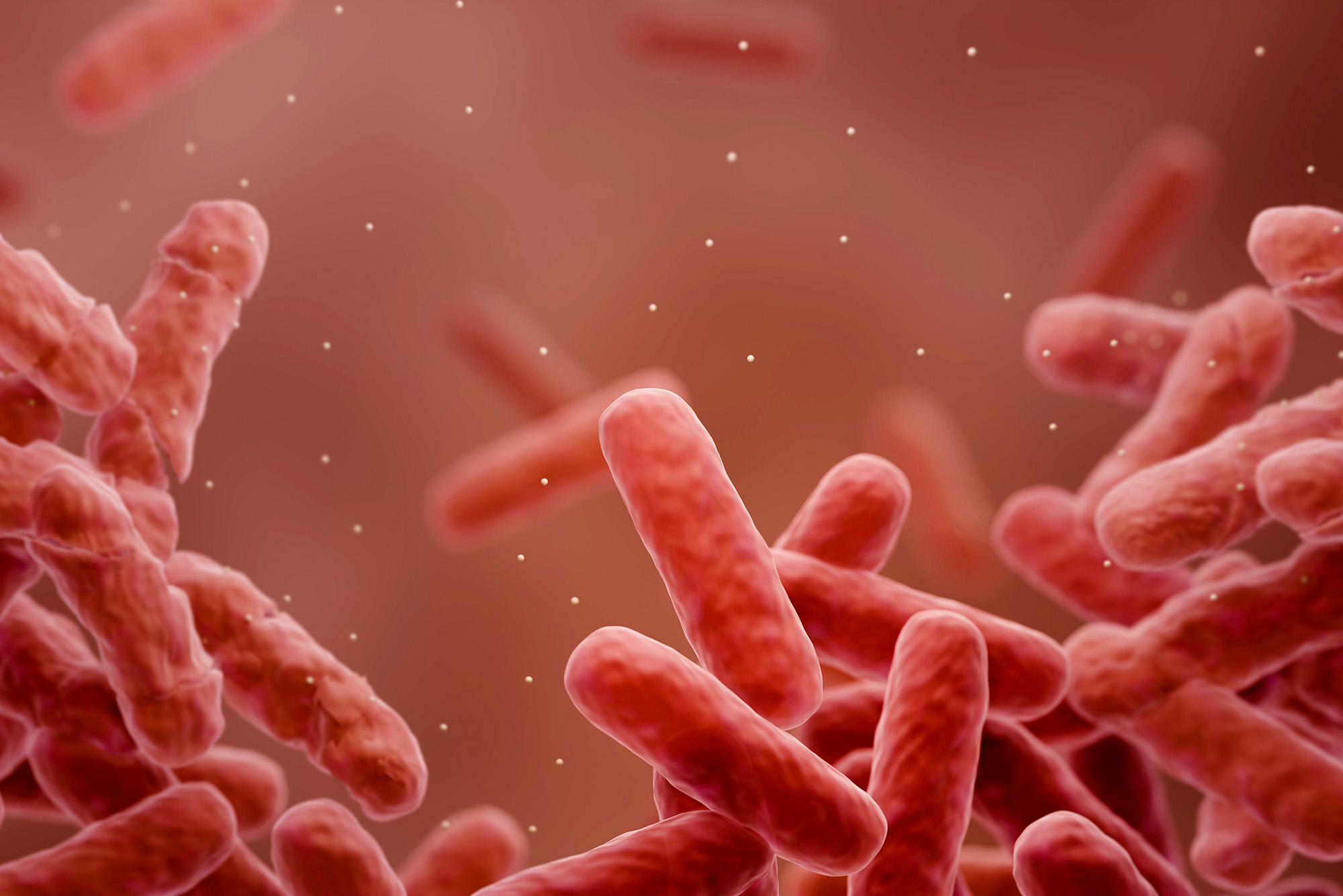 Antibacterial resistance illustration