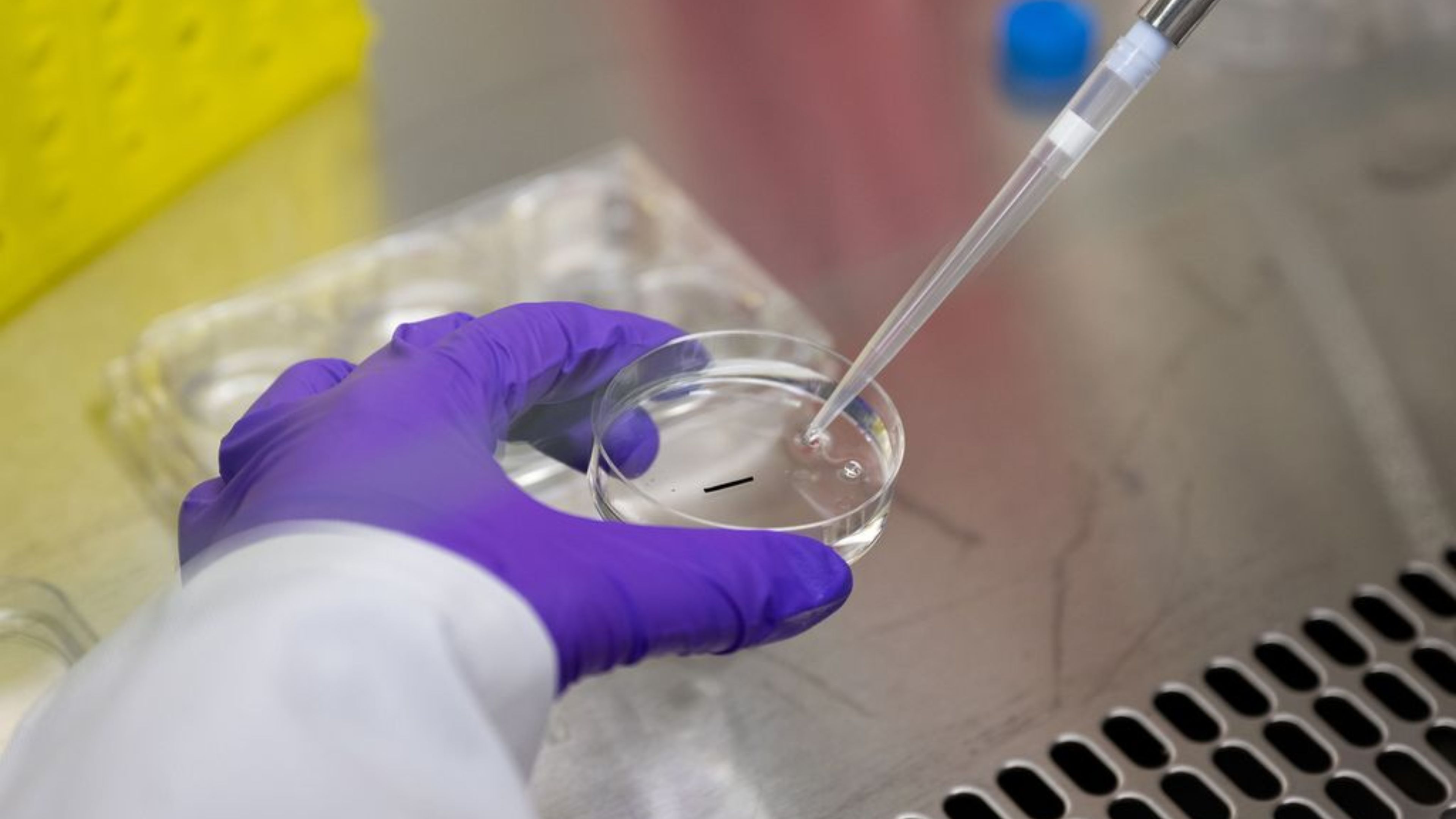 A tiny, injectable implant that looks like a thin piece of pencil lead