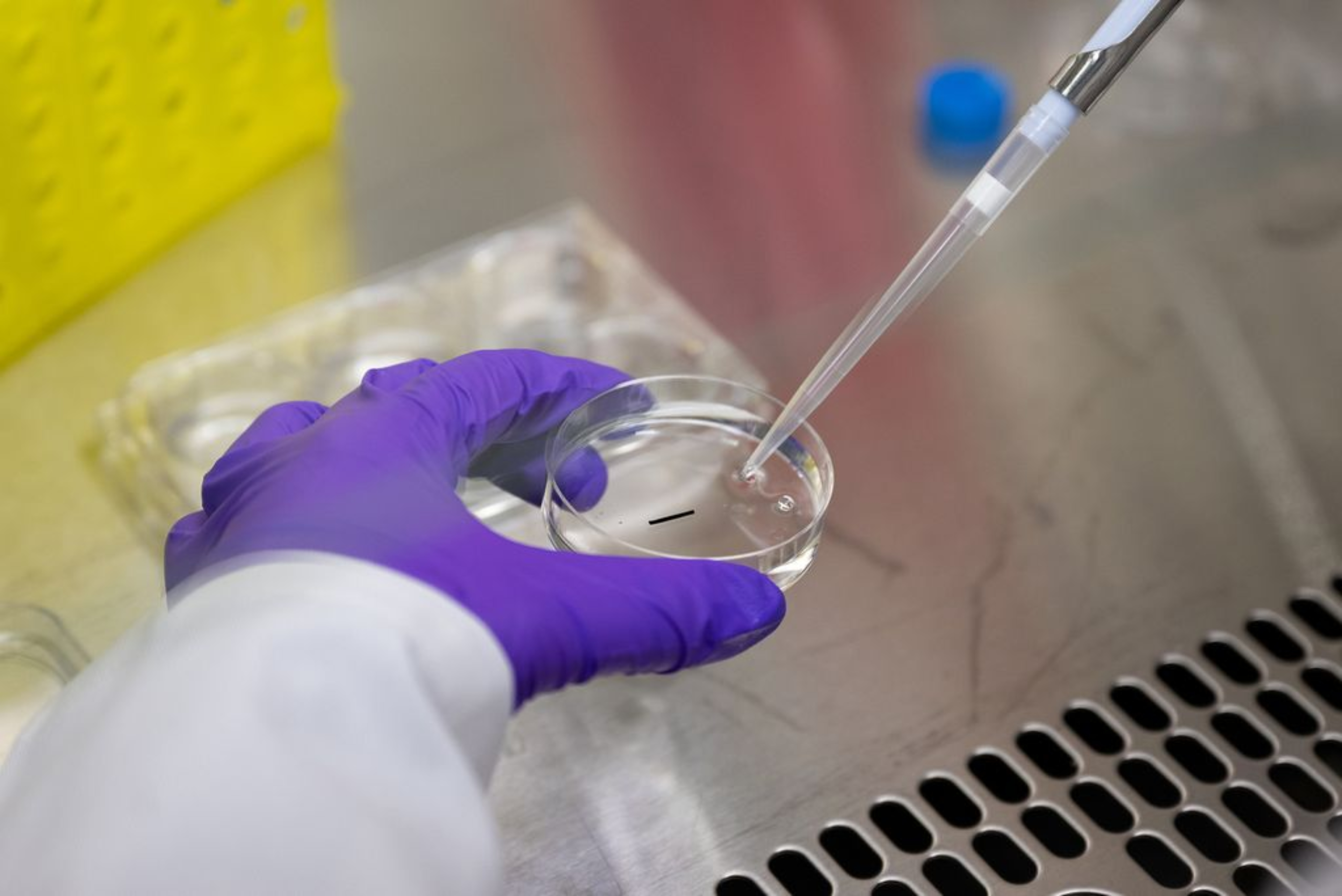 A tiny, injectable implant that looks like a thin piece of pencil lead