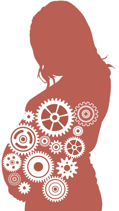 pregnant woman illustration