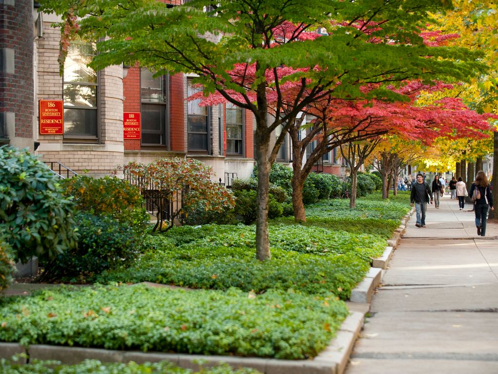 Photo of Bay State Road in Autumn