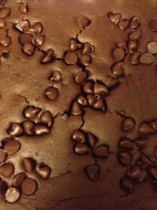brownie1-225x300