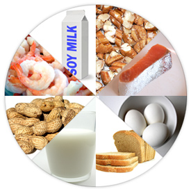 food-allergy-wheel