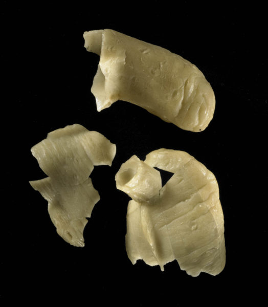 Figure 1. Votives donated by Sir William Hamilton in 1784, in fragments. ca.18th century, wax. British Museum, London (©Trustees of the British Museum).