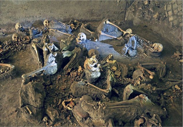 figure 3, skeletons