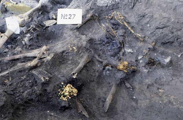 figure 4, Skeleton 27
