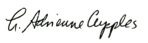 cupples_sig