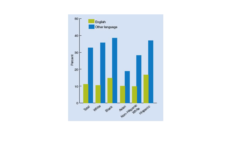 Disparities in Health Care Quality Among Racial and Ethnic Minority Groups: Findings From the National Healthcare Quality and Disparities Reports, 2008. Agency for Healthcare Research and Quality. Available at: http://archive.ahrq.gov/research/findings/nhqrdr/nhqrdr08/minority.html. Figure 12. Adults under age 65 who were uninsured all year in 2005, by race, ethnicity, and language spoken at home.