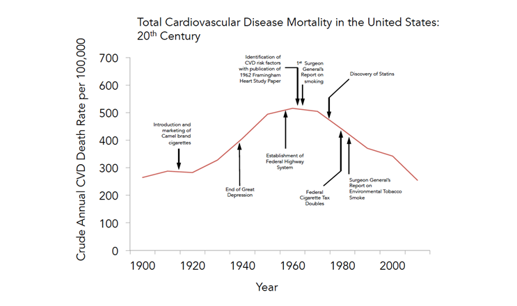 Figure 3a Cardiovascular disease in the 20th Century, adapted from National Heart, Lung and Blood Institute statistics
