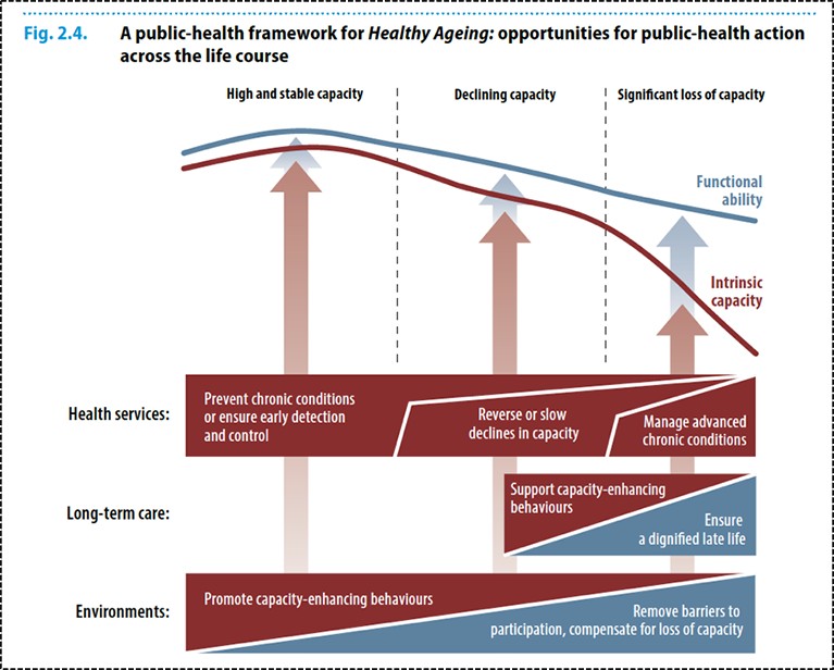 Figure 4: A Public Health Framework for Healthy Ageing