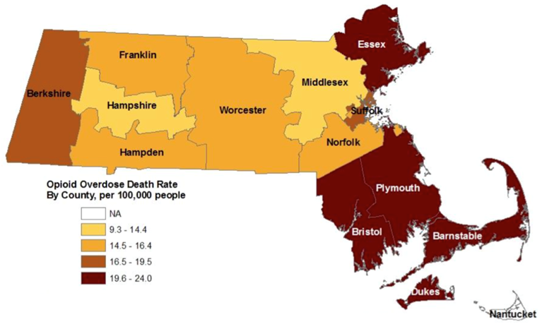 US-opioid-epidemic-fig-8