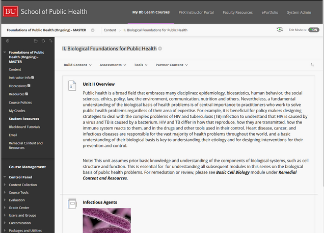Screenshot of Foundations of Public Health course in Blackboard