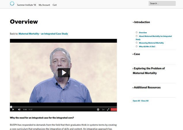 Screenshot of Maternal Mortality course