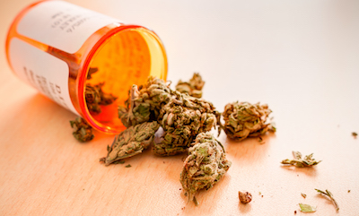 Cannabis buds spill out of medication bottle