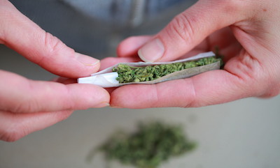 Hands rolling a joint