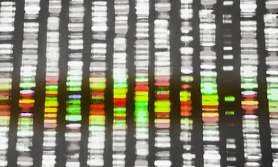 Close-up of a genetic sequence