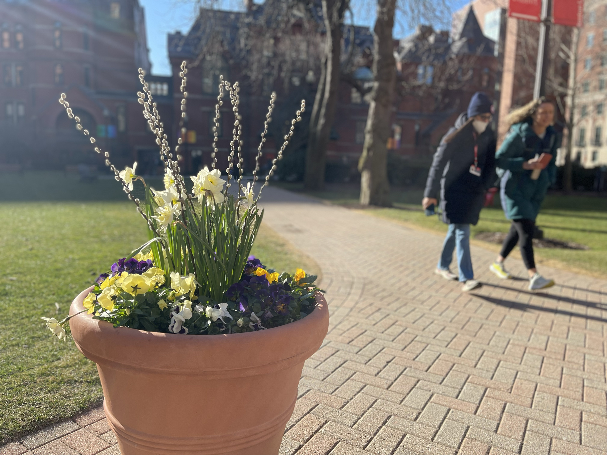 Flowers on the SPH campus