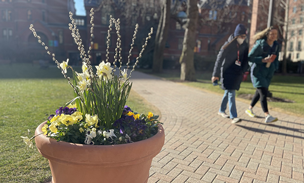 Flowers on the SPH campus