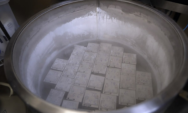 Container holding frozen embryos and sperm are stored in liquid nitrogen at a fertility clinic in Fort Myers, FL