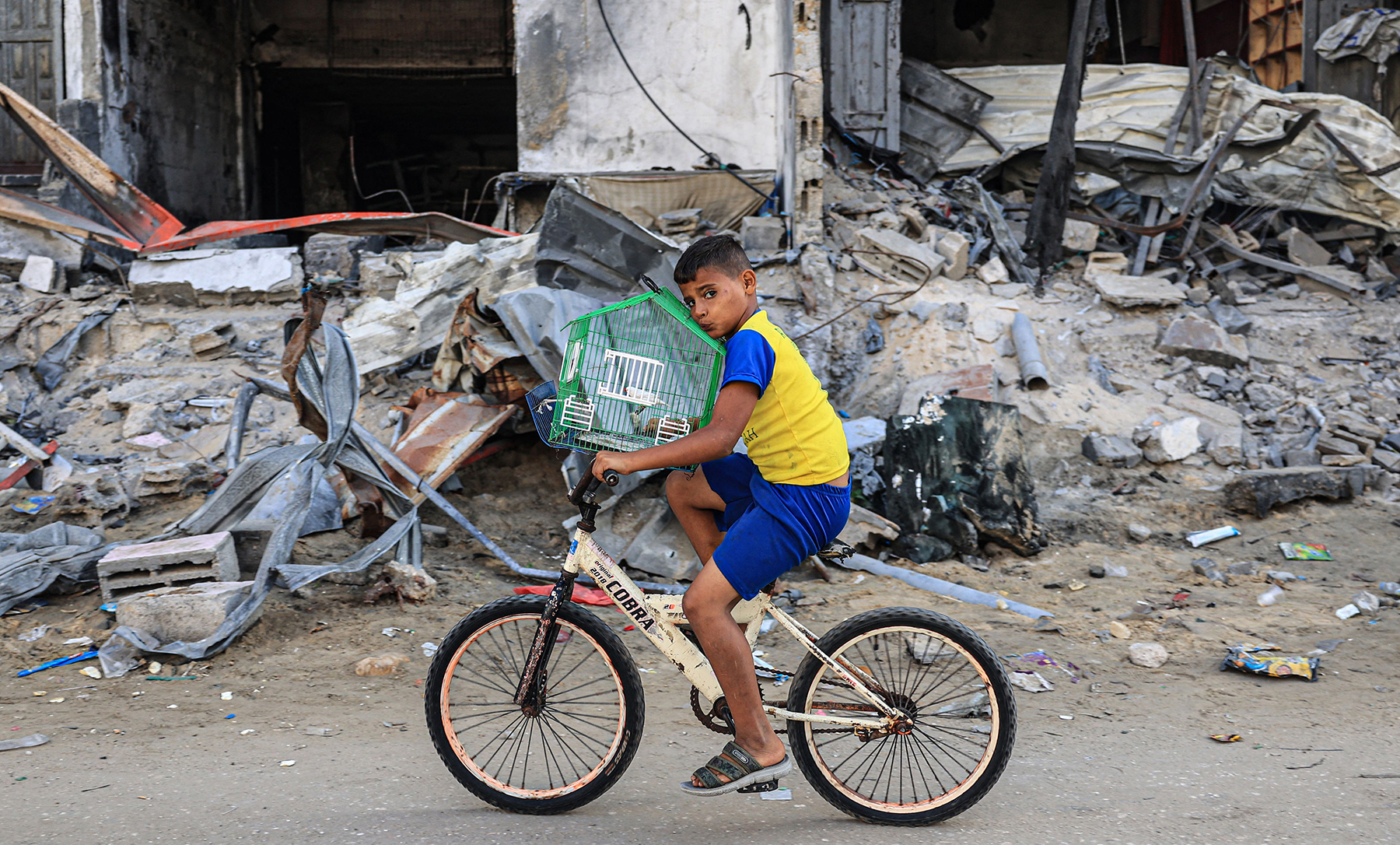 A Palestinian boy transports his bird on a bicycle past a destroyed building in Rafah in the southern Gaza Strip on November 6, 2023, amid the ongoing battles between Israel and the Palestinian group Hamas.