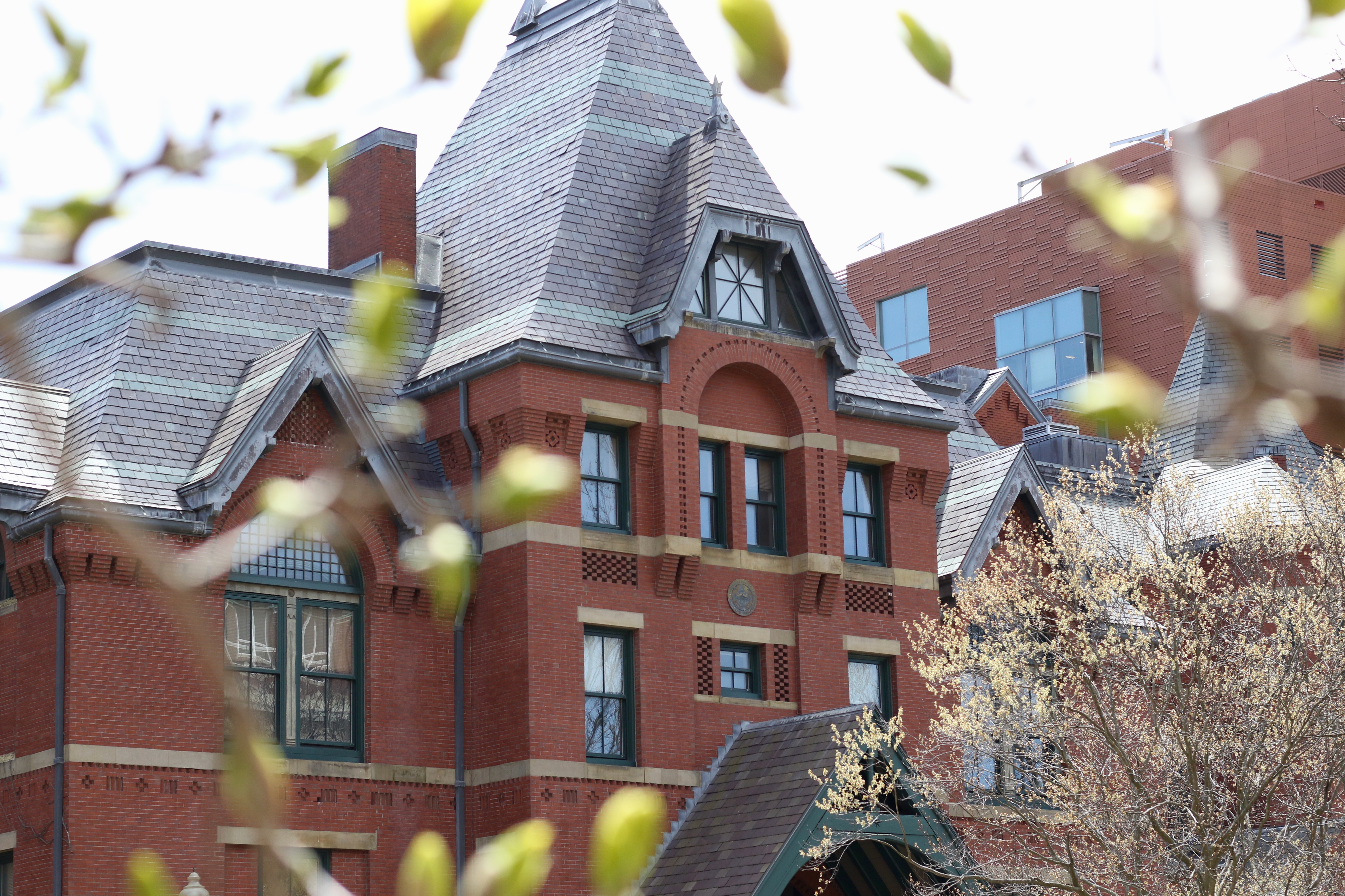 A tree blossoms in front of the Talbot Building