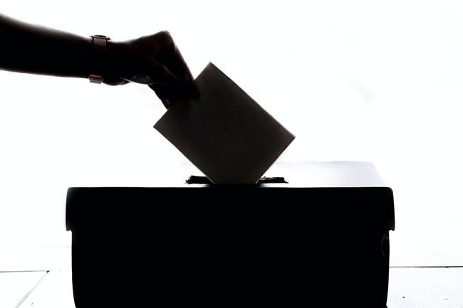 person-voting