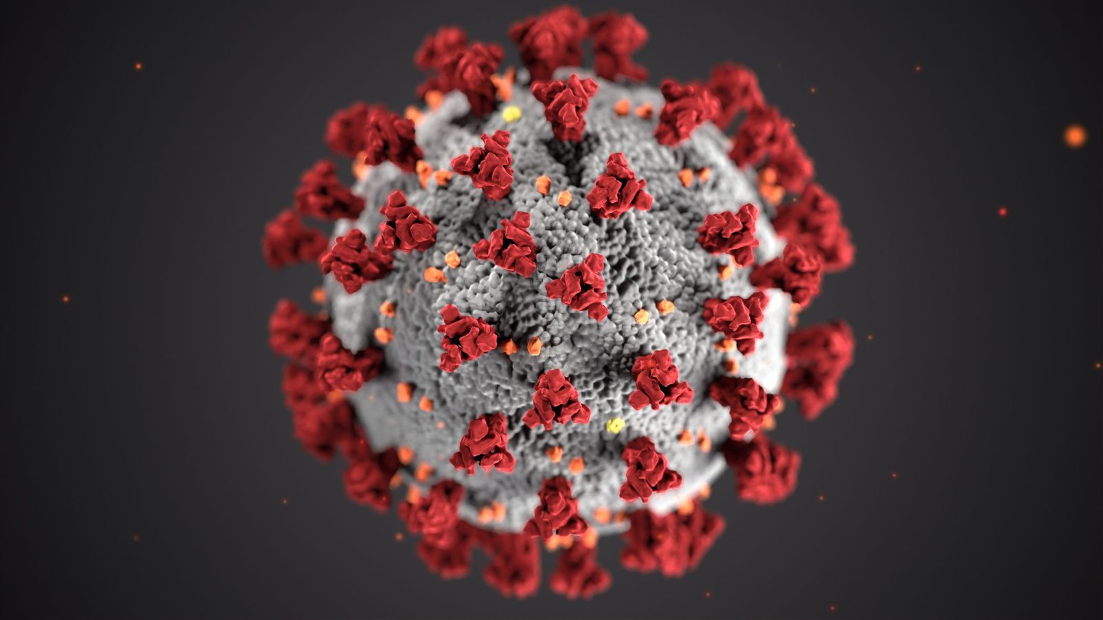 visual representation of the COVID-19 virus