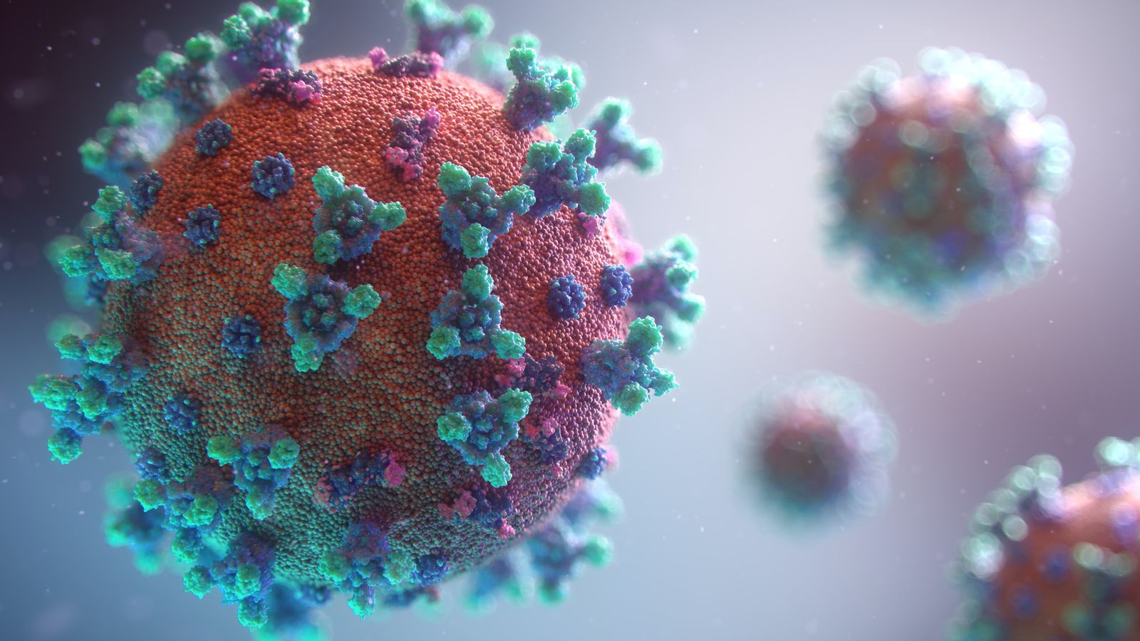 Visualization of the Covid-19 virus