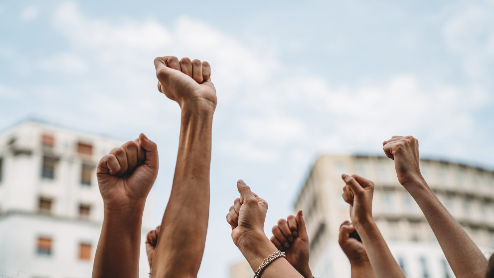 fists raised in the air