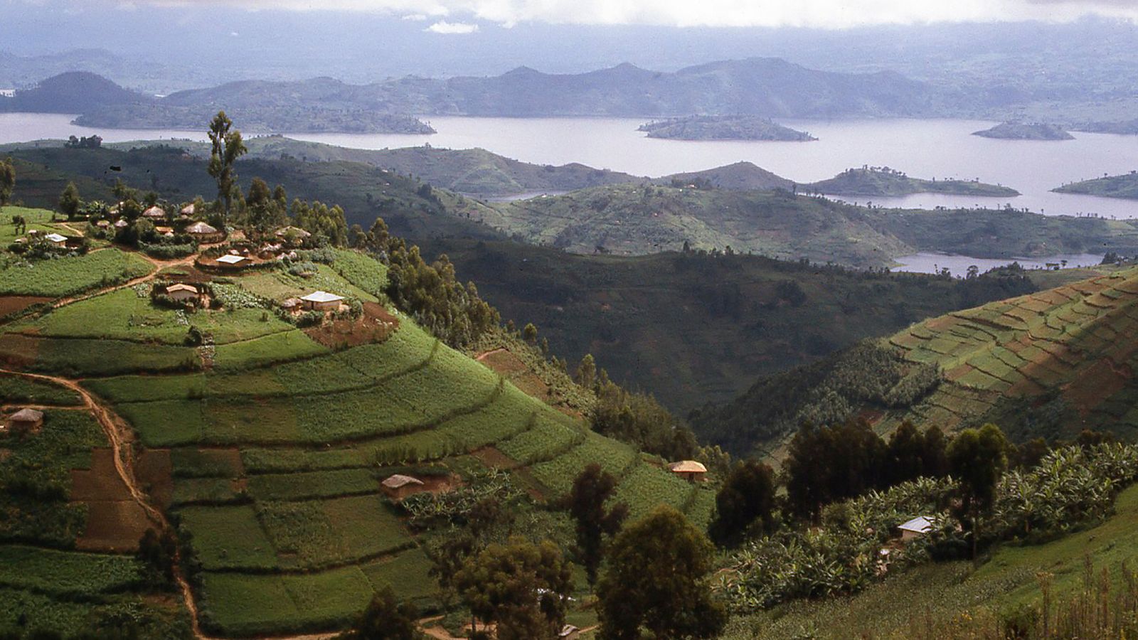 Hilltop Village overlooking Lake Ruhondo Central Highlands Rwanda Africa