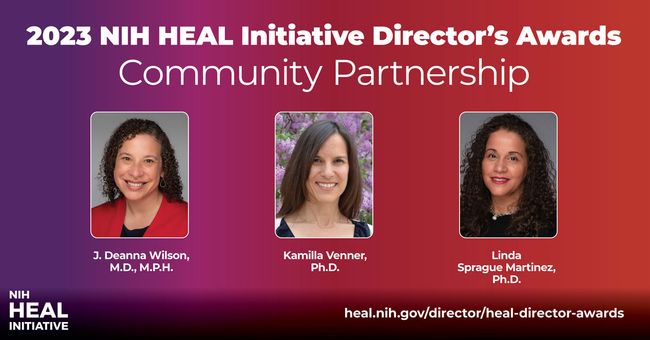 Linda Sprague Martinez and other NIH HEAL Award recepients
