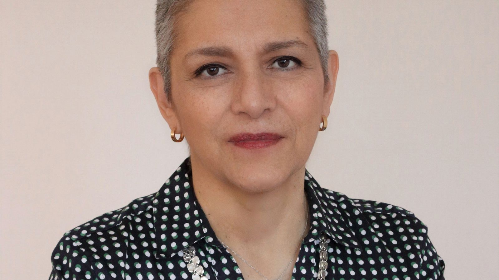 Headshot of Prof. Dolores Acevedo-Garcia