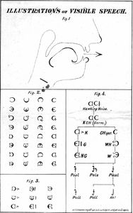 Diagram of Melville Bell's visible speech. The top of image holds an image of a profile of a head and neck showing a rudimentary drawing of inside of the mouth, throat, nose., demonstrating the mechanics of speech. Below that on the left side of the page are small images of visual representations of sound. On the right are combinations of those visible speech elements.