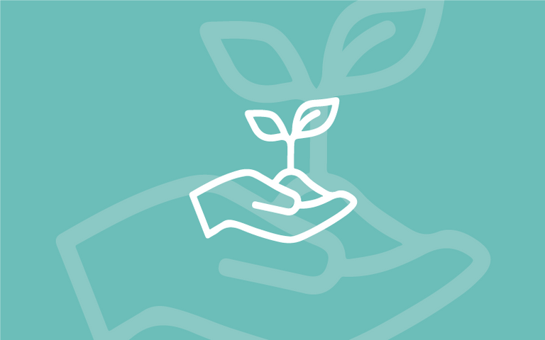 hand holding seedling plant icon on teal background