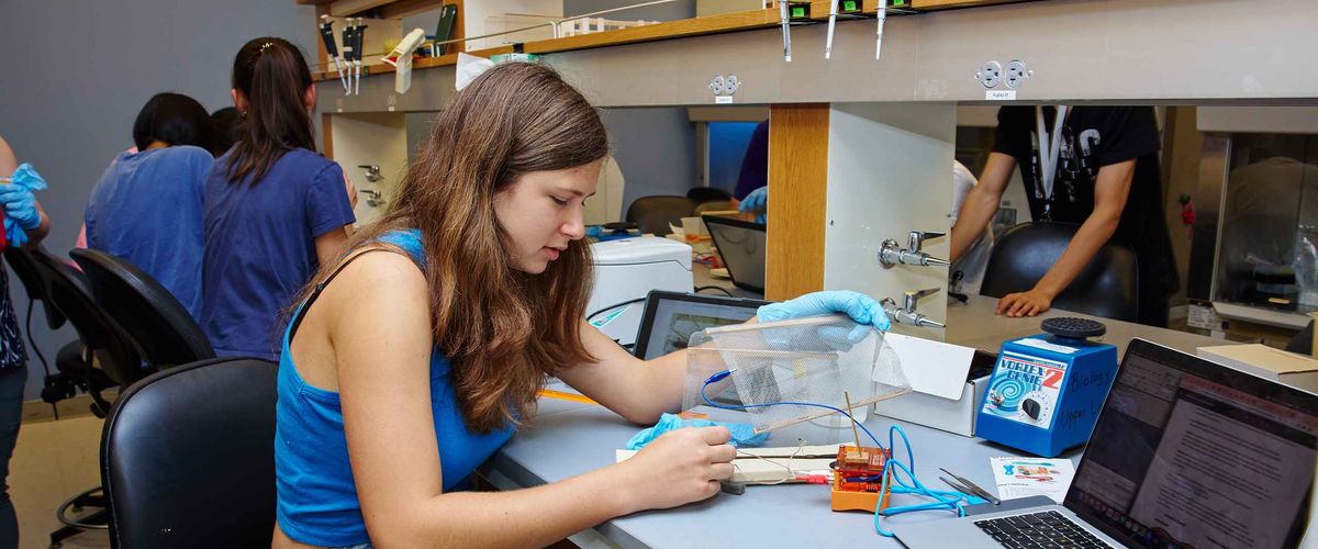 A Boston University is seen working in a lab