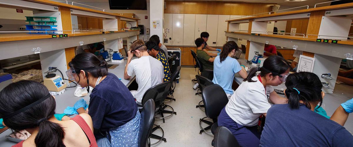 Boston University students working in a lab