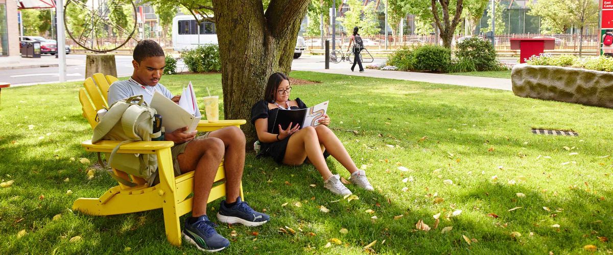 Two BU Summer Term students study in the shade in an outdoor park