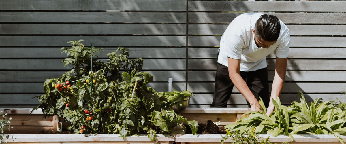 Food justice