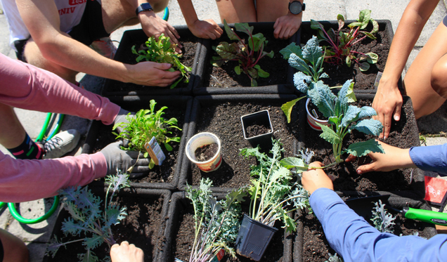 Campus Climate Lab Fall 2021