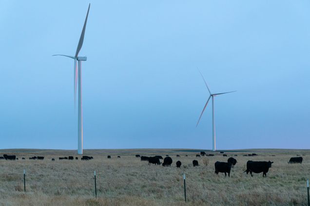 Turbines from BU Wind Farm