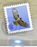 mail