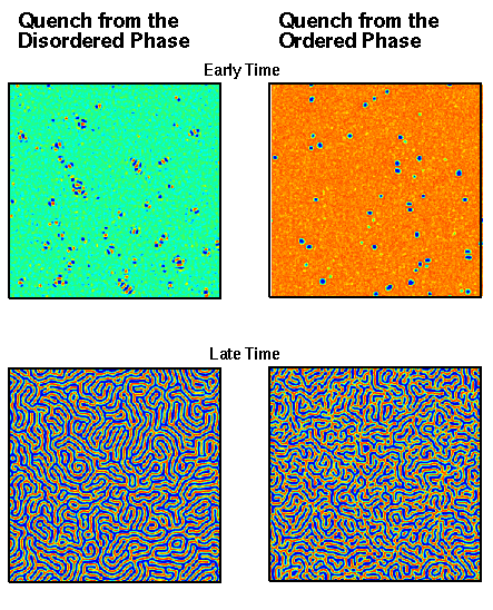 4 figures showing the early and late times of the disordered and ordered phases