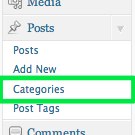 new-category-1