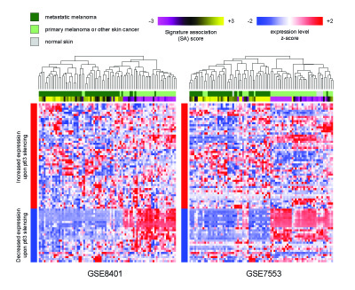 openSESAME (Search of Expression Signatures Across Many Experiments)