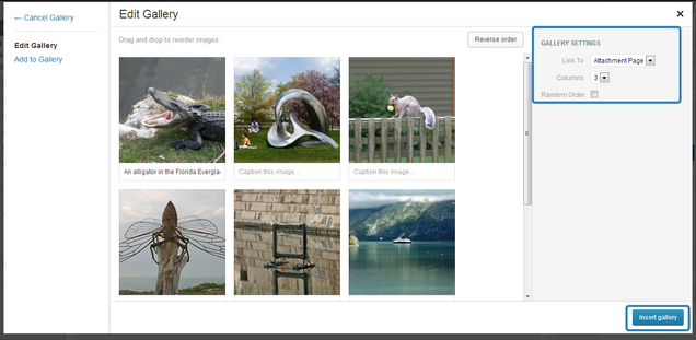 gallery_screenshot5